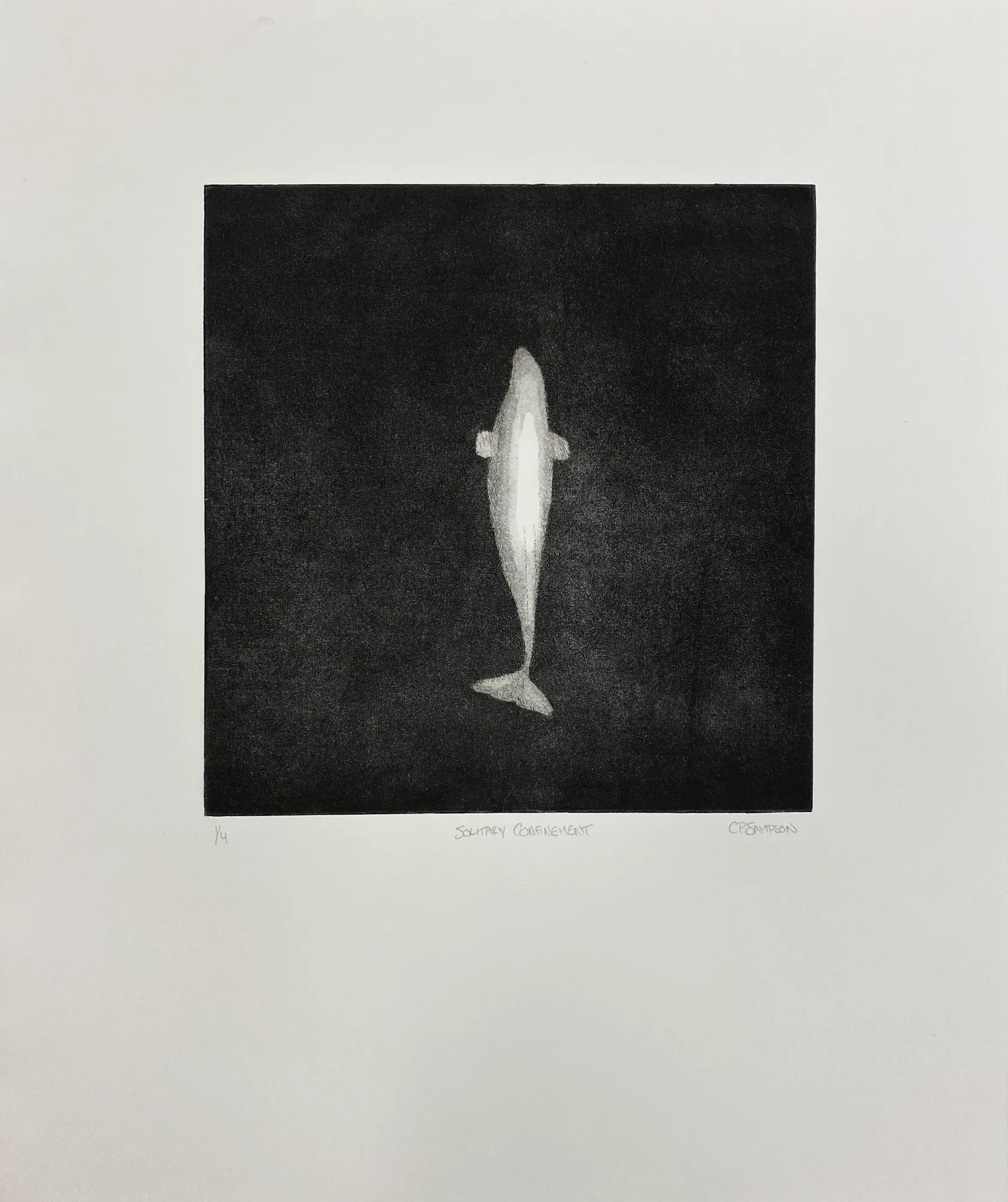 BFA monoprint archive 1